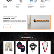 Shopify Stores Projects